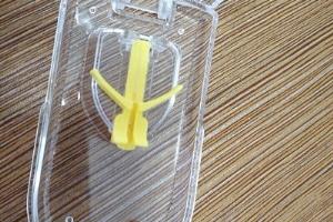 怎样给兰花施阿司匹林.