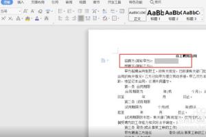 WPS文字小技巧：下划线的输入操作.