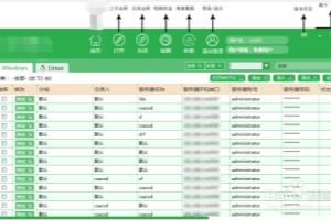 VNC软件中文版如何批量管理WIN系统服务器.