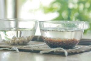 鹰嘴豆杂粮米糊.