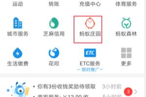 支付宝蚂蚁庄园月饼怎样得到，怎样给小鸡喂月饼.