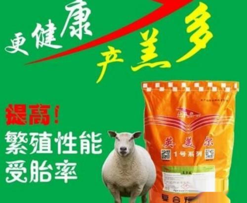 羊怎么吃粗饲料