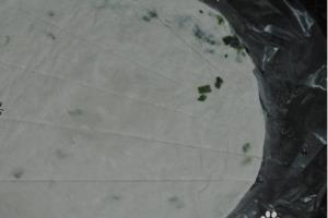 手抓饼热狗制作方法.