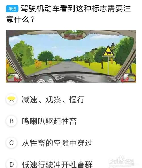 驾考科目四有哪些难点陷阱?