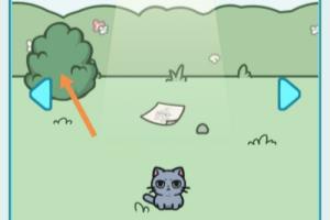 天天躲猫猫3森林公园第11关怎么得到三颗星星.