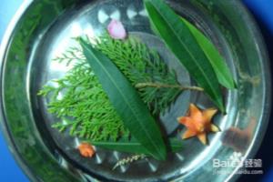 植物拼装画之舞台魔术.