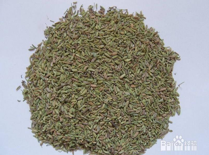 中药小茴香温肾祛寒的介绍