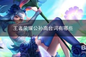 王者荣耀公孙离台词.