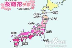 武汉去日本看樱花.