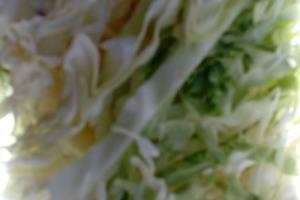 怎么素烧甘蓝丝豆芽.