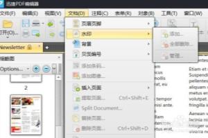 Pdf无法添加水印文字怎么办.