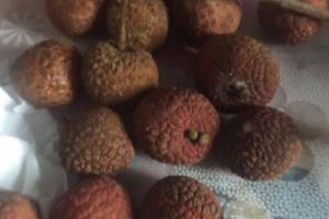 荔枝怎么剥？荔枝怎么吃？.