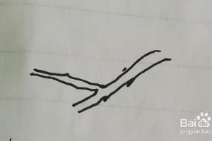 梅花及其枝干怎么画简笔画，步骤图清晰明了.