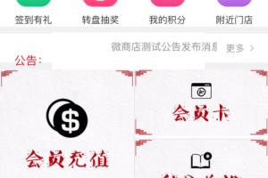 双十一超市的主要促销手段有哪些？.