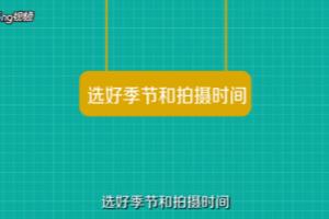 三亚拍婚纱照攻略？.