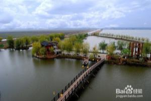 清明踏青好去处 高邮湖芦苇荡生态风光等您来！.