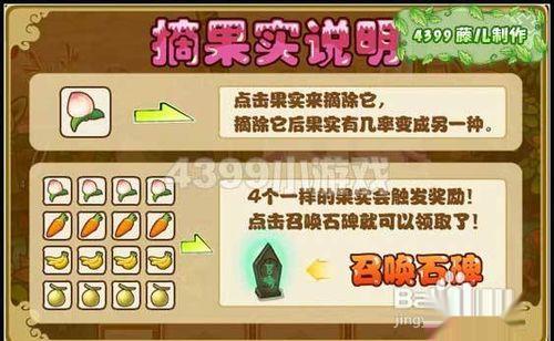功夫派小桃的心愿