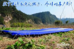 夏天午睡充气床垫，防潮使用时候注意哪些 ？.
