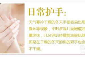 橄榄油的美容方法.