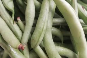 煸炒四季豆的做法.