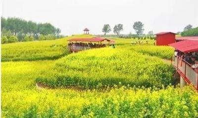 沈阳新民旅游攻略