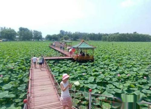 沈阳新民旅游攻略