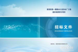 什么原因会导致投标书成为废标？.