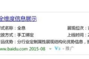 百度闪投样式怎么做？闪投的创建和修改闪投(一).