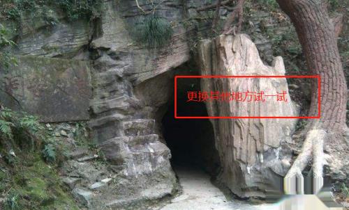 iphonexr信号差怎么办