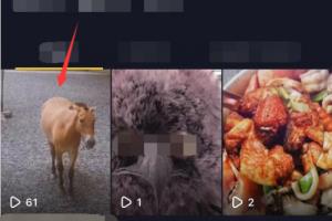 怎么将自己的抖音视频转为抖音码发送给好友.