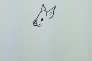 怎样画简笔画“爱嬉戏玩耍的小猪”？.