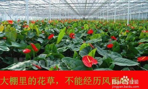 光子嫩肤祛斑的危害/采光(e光)去雀斑副作用
