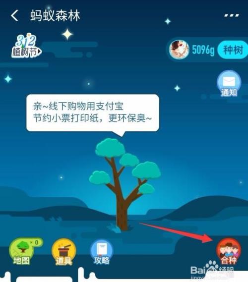 蚂蚁森林合种树在哪 蚂蚁森林怎么合种树