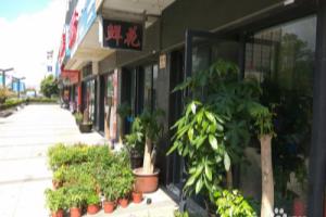 都市养花的小妙招.