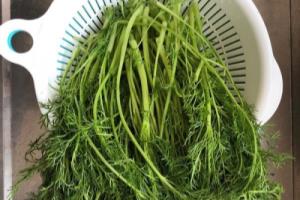 怎么做茴香玉米饼.
