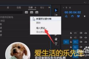 Pr个性化转场预设【分享预设给大家】.