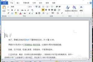 Word2010中显示网格线、标尺和导航窗格的方法.