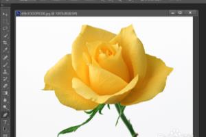 PhotoShop初学者之自由钢笔工具的使用.