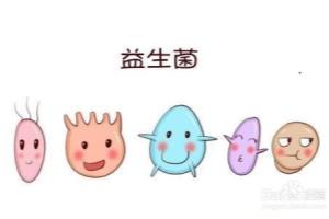 益生菌的作用.