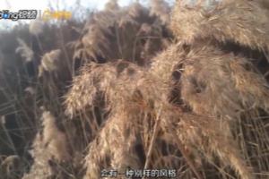 视频拍摄技巧有哪些.