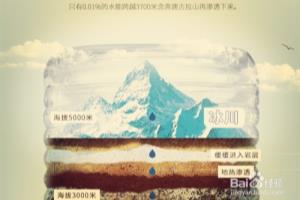 黄金芽冲泡方法.