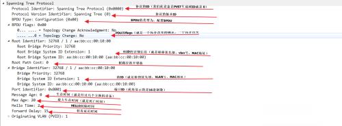 思科STP的BPDU报文详解