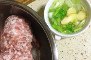 丧失自制力的鲜肉包子香菇猪肉包.