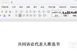 共同诉讼代表人推选书写作指南.