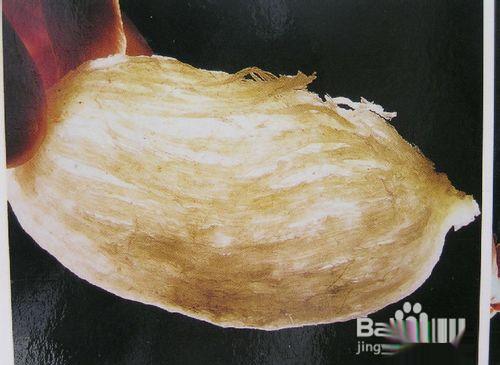 如何选购燕窝?