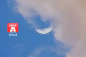 婚礼纪上怎么查看新人接亲流程的相关事宜.