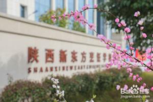 不想打工了转行学厨师怎么样？.