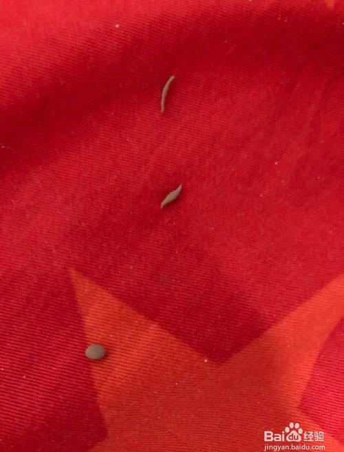 制作可爱的小熊