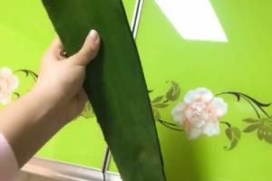 芦荟蜂蜜汁的做法.