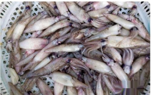 菜市场这4种食物谨慎买可能泡过甲醛